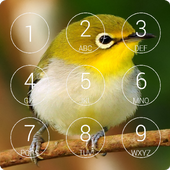 Birds Cool Lock Screen icon