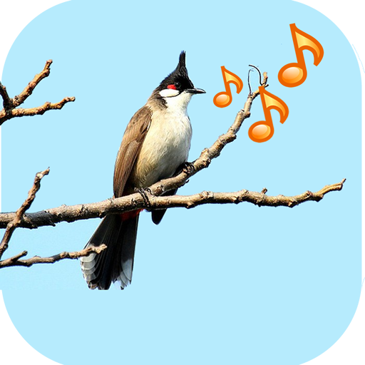 Singing Birds आइकन