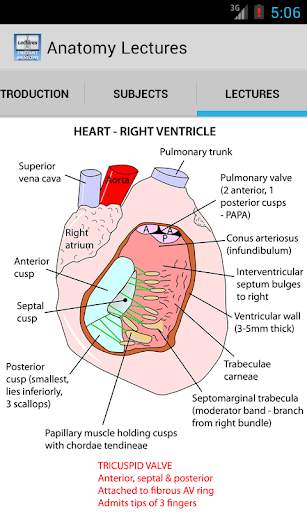 Anatomy Lectures screenshot 1