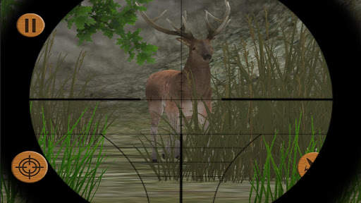 Birds & Animals Hunting 3D screenshot 5