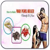 How To Make Your Penis Bigger 1.0