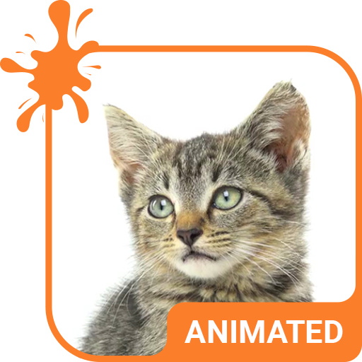 Baby Tabby Animated Keyboard   Live Wallpaper icon