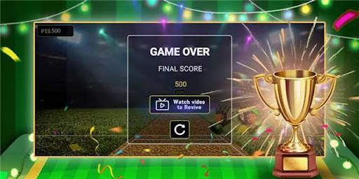 Cricket Bowler screenshot 3