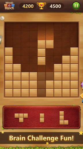 Wood Block Puzzle Classic 3 تصوير الشاشة