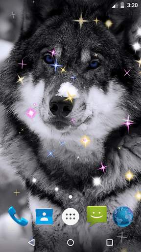 Wolf Live Wallpaper screenshot 4