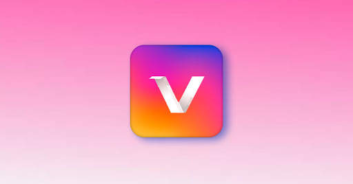 Vidmt Downloader screenshot 1
