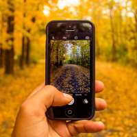 Ringtones for Android Phones icon