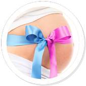All About Pregnancy 1.0