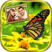 Butterfly Frames 1.7