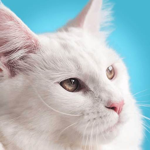 Live Wallpaper Animal icon