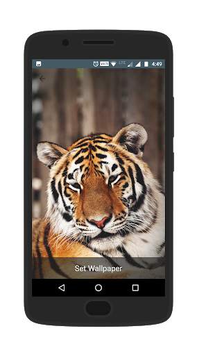 Wally - The Wallpaper App скриншот 3