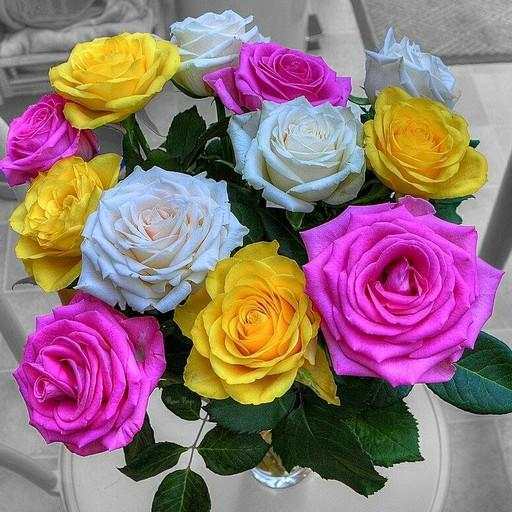 Flowers And Roses Animated Images Gif pictures 4K 1 تصوير الشاشة