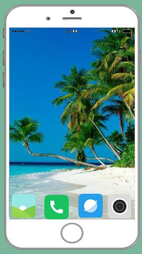 Palm Tree Full HD Wallpaper screenshot 6