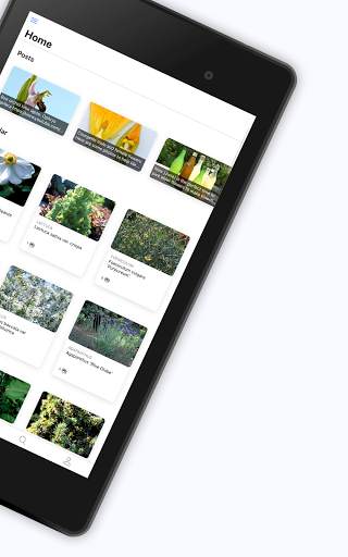 Right Plants screenshot 9