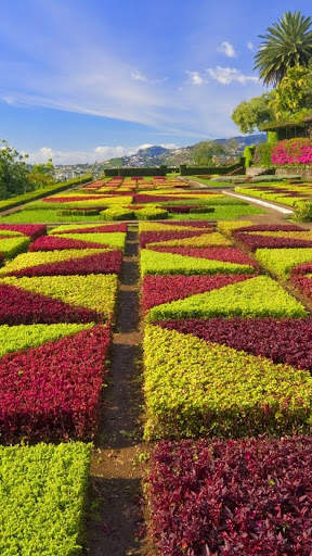 Garden wallpaper screenshot 7