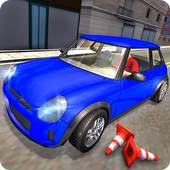 Real Dr. Car Driving Simulator 1.0