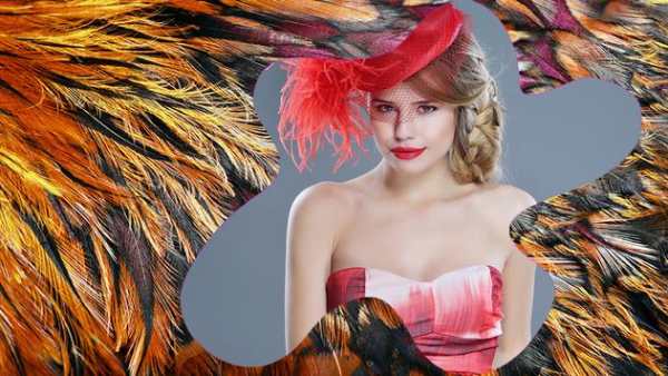 Feathers Picture Frames screenshot 7