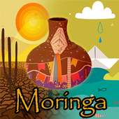Moringa icon
