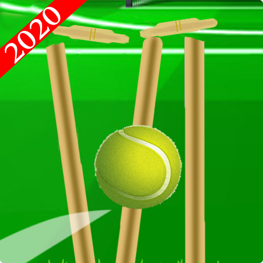 Cricket Ball : New Cricket Game icon