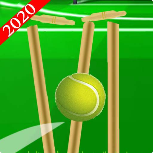 Cricket Ball : New Cricket Game 1.1.2