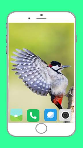 Birds Full HD Wallpaper स्क्रीनशॉट 13