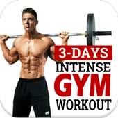 3 Days Intense Gym Workout & Fitness Meal Plan 1.5