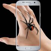 Spider In Hand Prank Funny Joke
