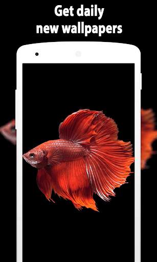 Fish Wallpaper (4k) screenshot 9
