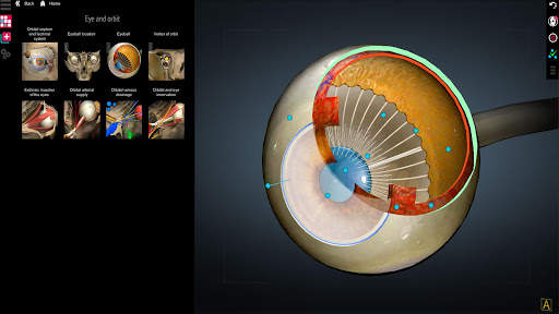 Anatomy Learning - 3D Anatomy Atlas screenshot 3