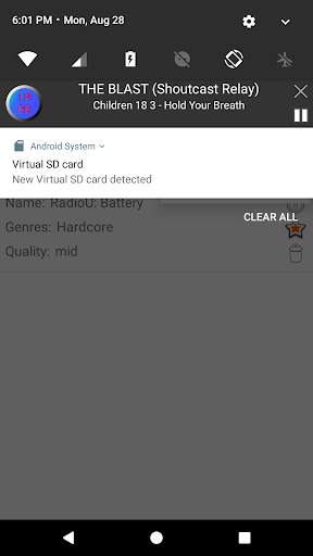 Internet Radio Player Recorder screenshot 4