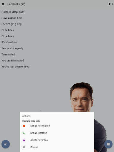 Pocket Arnold Schwarzenegger screenshot 7