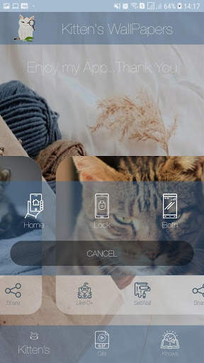 Fotos Fofas de Gatinhos para Papel de Parede screenshot 8