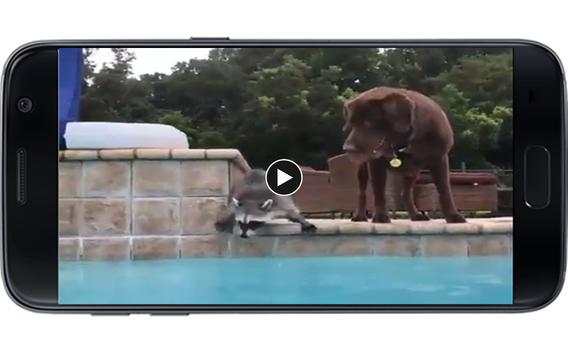 Funny Videos - MadLipz Compilation screenshot 4