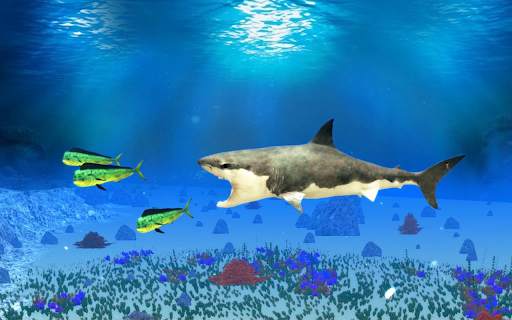 The Shark screenshot 21