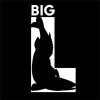 Big L - Fishing Channel logo