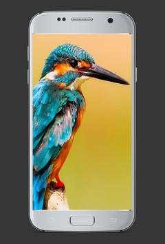 Tema Burung HD screenshot 1
