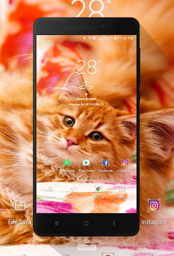 Orange Wallpaper screenshot 6