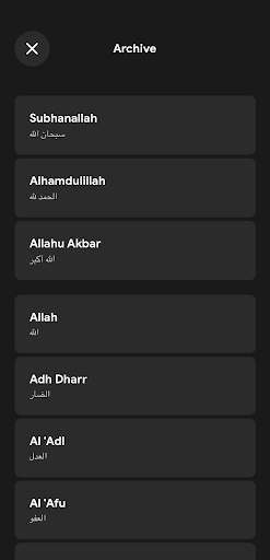 Tasbih Counter Pro: Dhikr App screenshot 2