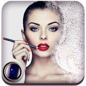 Pixel Effect - shattered pixel photo editing 1.0