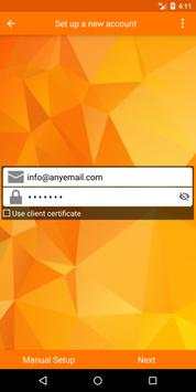 Email screenshot 2