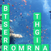 Word Puzzle cross word game icon
