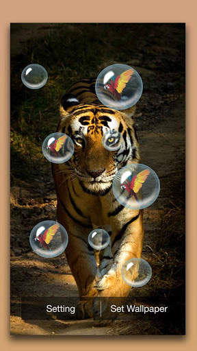 Tiger Live Wallpaper screenshot 4