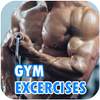 Gym Workout - Gym Exercises 2.6
