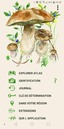 Aux champignons screenshot 1