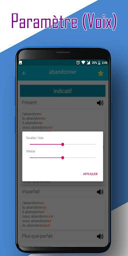 Conjugação em francês offline screenshot 6