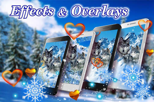 Wolf Romantic Live Wallpaper screenshot 3