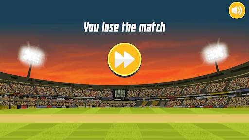 City Cricket Game - World Cricket Game screenshot 5