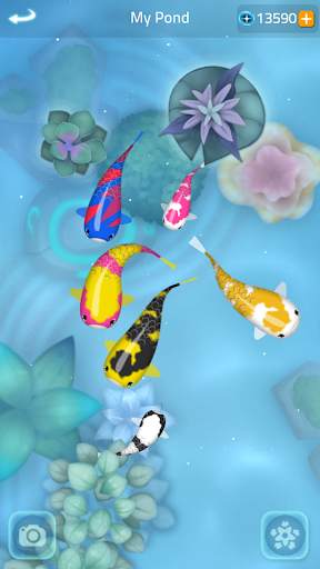 Zen Koi 2 screenshot 5