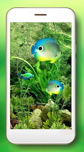 Aquarium Fishes LWP screenshot 3