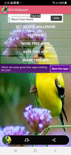 Bird Live Wallpaper screenshot 6